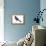 Red-Winged Blackbird (Agelaius Phoeniceus), Birds-Encyclopaedia Britannica-Framed Stretched Canvas displayed on a wall