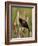 Red-Winged Blackbird (Agelaius Phoeniceus), Lac Le Jeune Provincial Park, British Columbia-James Hager-Framed Photographic Print