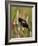 Red-Winged Blackbird (Agelaius Phoeniceus), Lac Le Jeune Provincial Park, British Columbia-James Hager-Framed Photographic Print