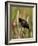 Red-Winged Blackbird (Agelaius Phoeniceus), Lac Le Jeune Provincial Park, British Columbia-James Hager-Framed Photographic Print