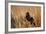 Red-Winged Blackbird Male Singing, Displaying in Wetland, Marion, Il-Richard and Susan Day-Framed Photographic Print