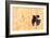 Red Winged Blackbird-Jason Savage-Framed Giclee Print