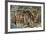 Red Wolf-Gary Carter-Framed Photographic Print