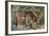 Red Wolf-Gary Carter-Framed Photographic Print