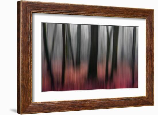 Red Wood-Gilbert Claes-Framed Giclee Print