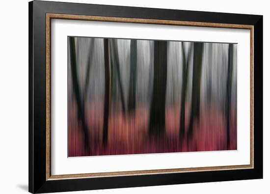 Red Wood-Gilbert Claes-Framed Giclee Print