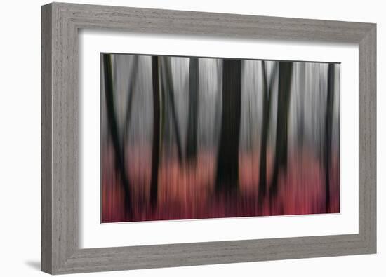 Red Wood-Gilbert Claes-Framed Giclee Print