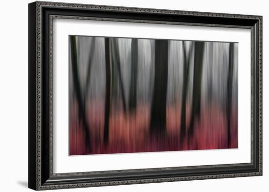 Red Wood-Gilbert Claes-Framed Giclee Print