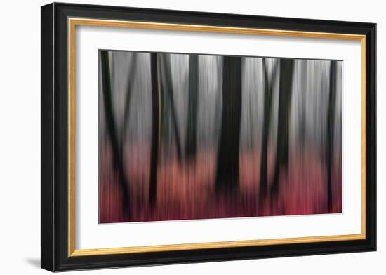 Red Wood-Gilbert Claes-Framed Giclee Print