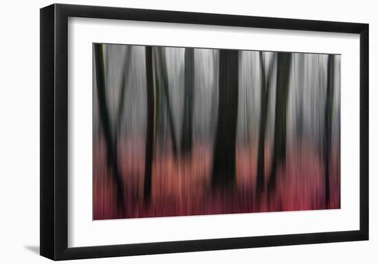 Red Wood-Gilbert Claes-Framed Giclee Print