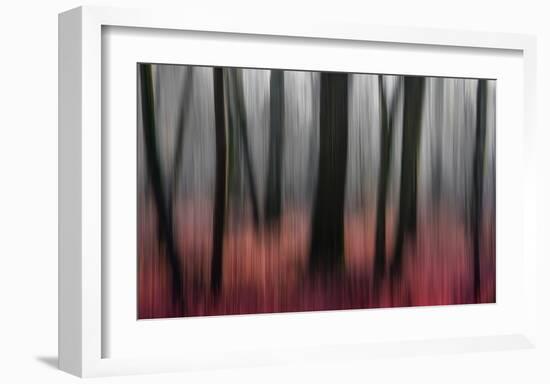 Red Wood-Gilbert Claes-Framed Giclee Print