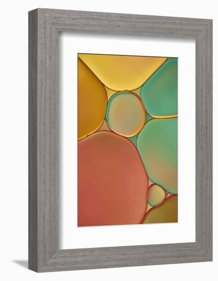 Red Yellow and Green Drops-Cora Niele-Framed Photographic Print