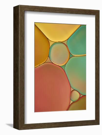 Red Yellow and Green Drops-Cora Niele-Framed Photographic Print