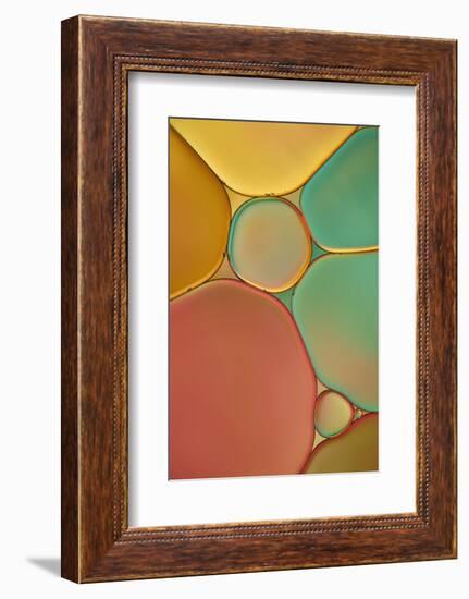 Red Yellow and Green Drops-Cora Niele-Framed Photographic Print