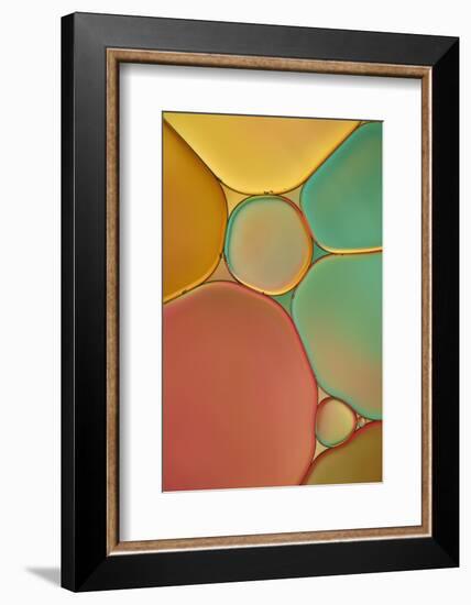 Red Yellow and Green Drops-Cora Niele-Framed Photographic Print