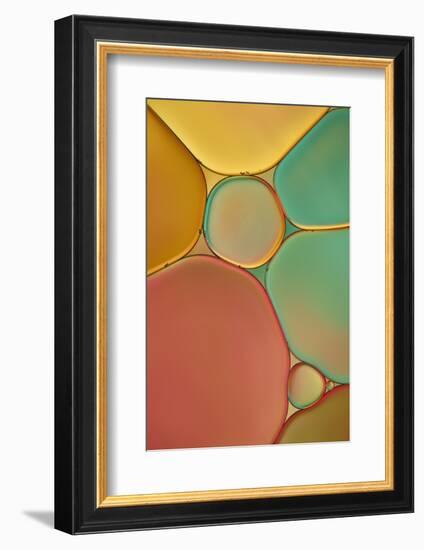 Red Yellow and Green Drops-Cora Niele-Framed Photographic Print