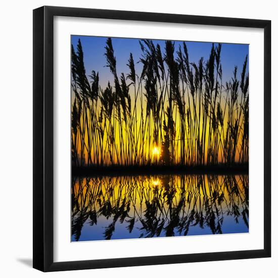 Red Yellow Blue!-Adrian Campfield-Framed Photographic Print