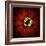 Red Zinnia-Ike Leahy-Framed Photographic Print