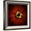 Red Zinnia-Ike Leahy-Framed Photographic Print