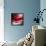 Red-Ursula Abresch-Framed Premier Image Canvas displayed on a wall