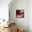 Red-Ursula Abresch-Framed Premier Image Canvas displayed on a wall