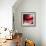 Red-Ursula Abresch-Framed Photographic Print displayed on a wall