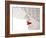 Red-Seyhan Terzioglu-Framed Photographic Print