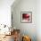 Red-Ursula Abresch-Framed Premium Photographic Print displayed on a wall