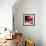 Red-Ursula Abresch-Framed Premium Photographic Print displayed on a wall