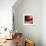 Red-Ursula Abresch-Framed Premium Photographic Print displayed on a wall