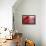 RED-Antje Wenner-Braun-Framed Premier Image Canvas displayed on a wall