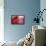 RED-Antje Wenner-Braun-Framed Premier Image Canvas displayed on a wall