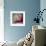 Red-Dimitar Lazarov-Framed Photographic Print displayed on a wall