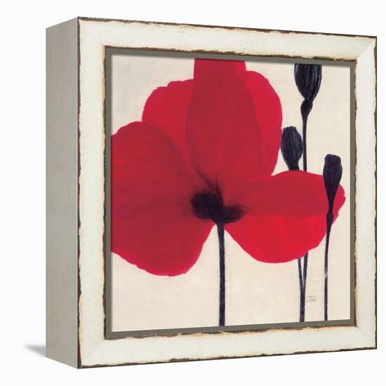 Red-Ivo-Framed Stretched Canvas