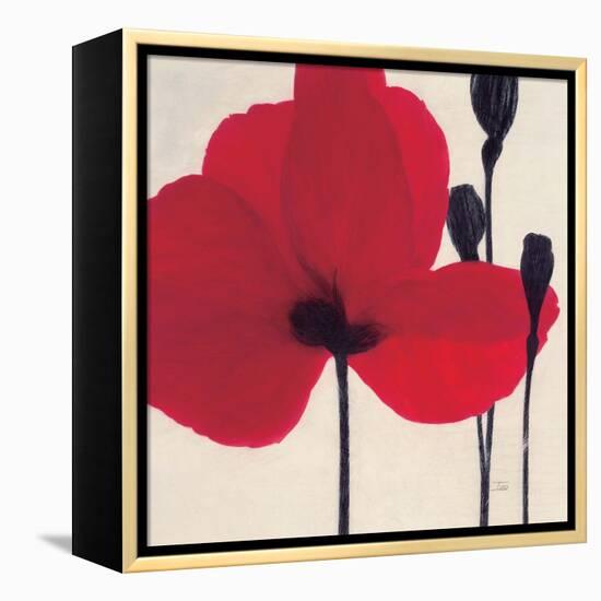 Red-Ivo-Framed Stretched Canvas