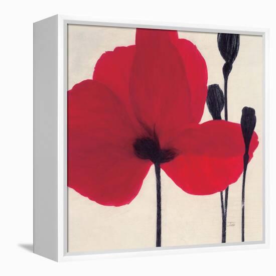 Red-Ivo-Framed Stretched Canvas