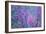 Redbud River Abstract-Vincent James-Framed Photographic Print