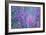 Redbud River Abstract-Vincent James-Framed Photographic Print