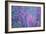 Redbud River Abstract-Vincent James-Framed Photographic Print