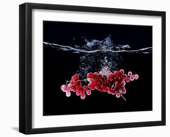 Redcurrants Falling into Water-Hermann Mock-Framed Photographic Print