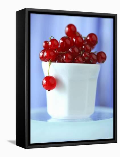 Redcurrants in a Small Pot-Franck Bichon-Framed Premier Image Canvas