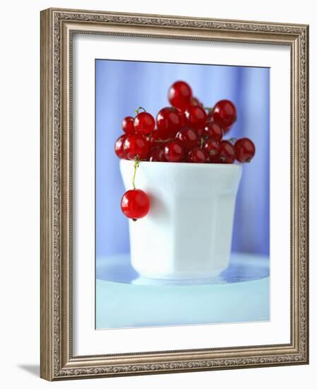 Redcurrants in a Small Pot-Franck Bichon-Framed Photographic Print