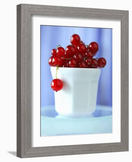 Redcurrants in a Small Pot-Franck Bichon-Framed Photographic Print