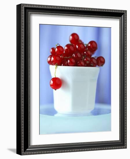 Redcurrants in a Small Pot-Franck Bichon-Framed Photographic Print