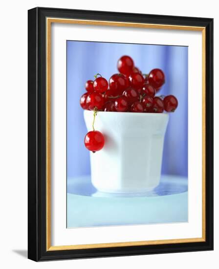 Redcurrants in a Small Pot-Franck Bichon-Framed Photographic Print