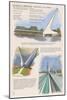 Redding, California - Sundial Bridge-Lantern Press-Mounted Art Print