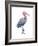 Reddish Egret (Dichromanassa Rufescens), Birds-Encyclopaedia Britannica-Framed Art Print