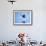 Reddish Egret Fishing, Ding Darling National Wildlife Refuge, Sanibel Island, Florida, USA-Charles Sleicher-Framed Photographic Print displayed on a wall