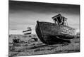 Photographic Print