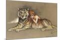 Premium Giclee Print